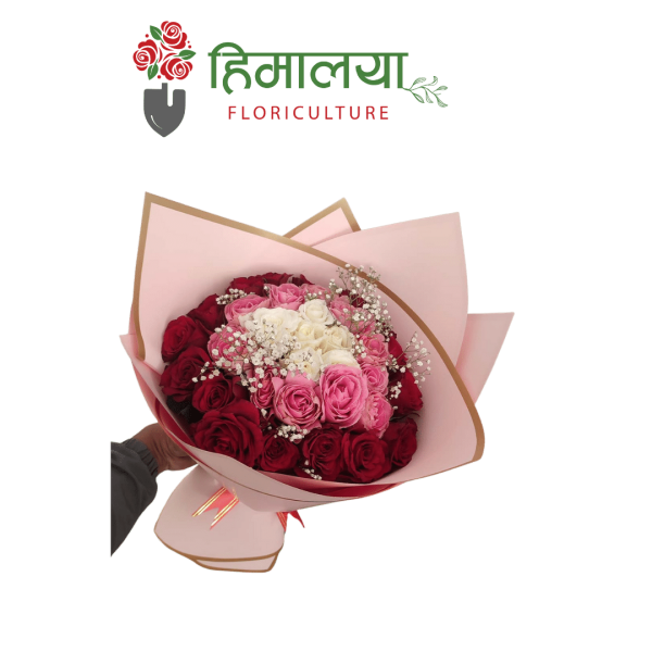 Red, Pink, & White Roses Bouquet (Premium Paper)
