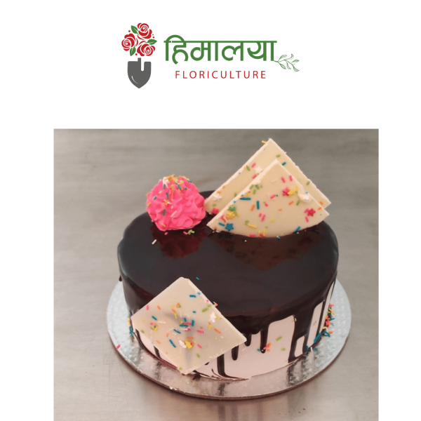 Chocolate-Pound Cake
