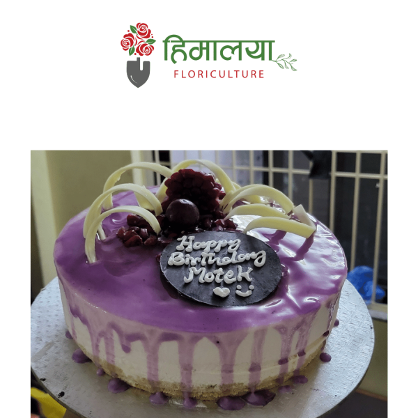 Blueberry - Pound Cake