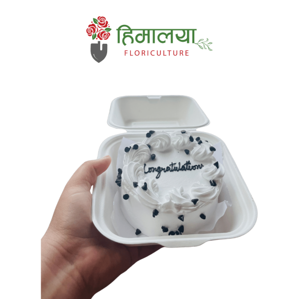Bento Cake - Vanilla