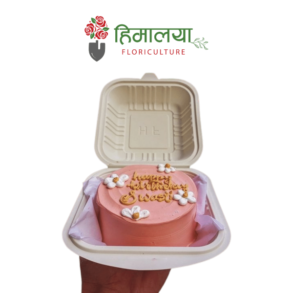 Bento Cake - Strawberry