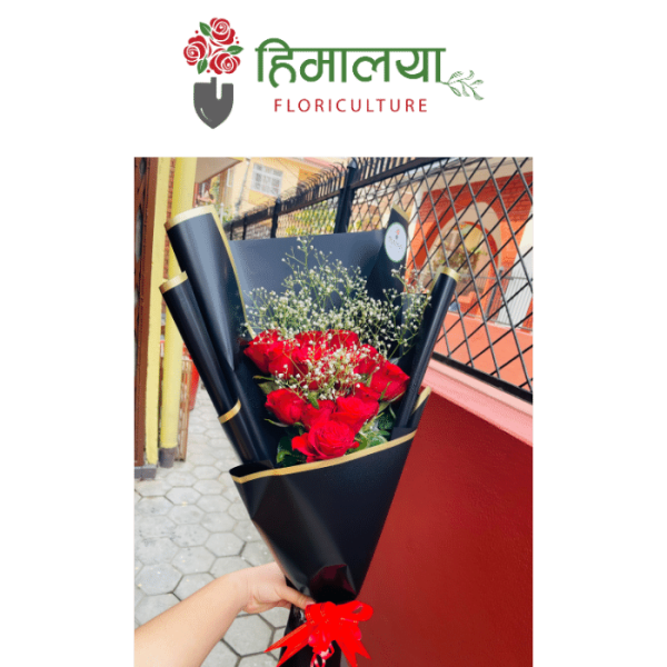 Red Roses Premium Bouquet