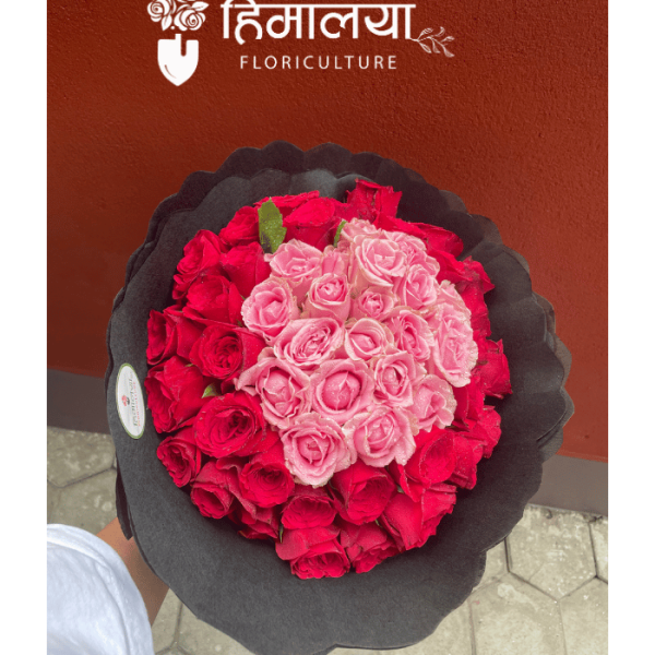 Red & Pink Roses (Premium Bouquet)
