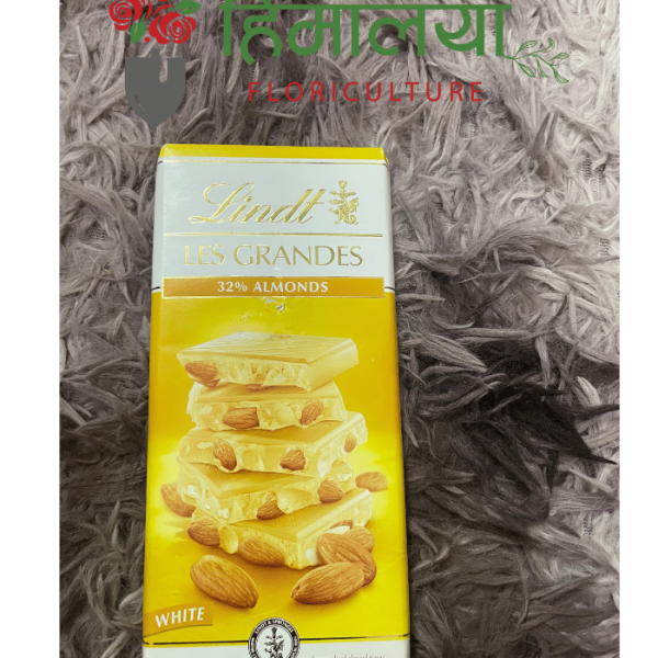 Lindt Hazelnut chocolate bar – a gourmet treat for chocolate enthusiasts