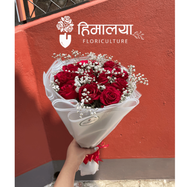 Red Roses 10 Stems Bouquet
