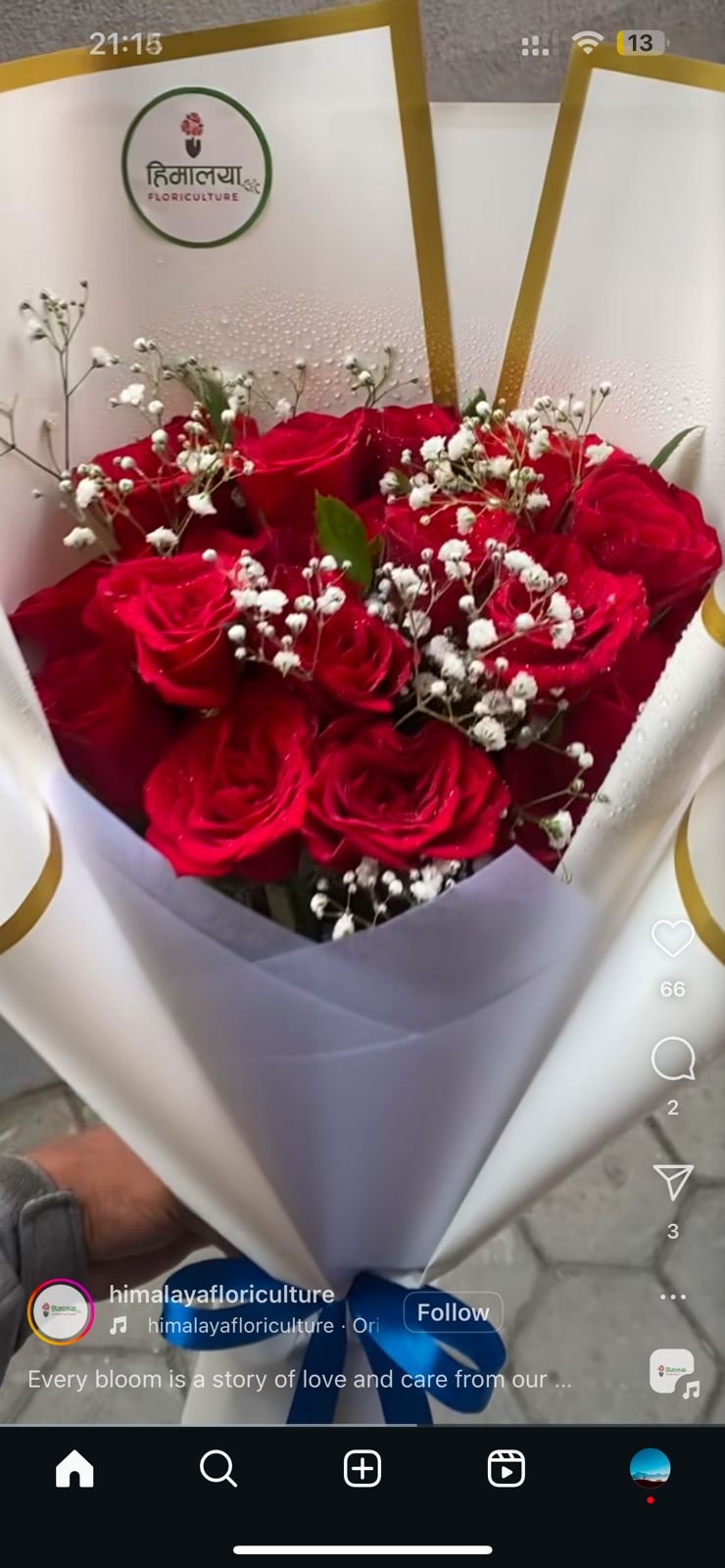 Order 2025-01-28-15 – Anuz – Himalaya Floriculture