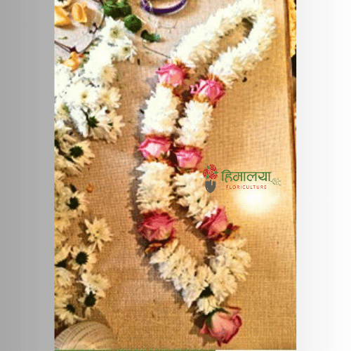 Pink Rose & Godawari Garland Design 022