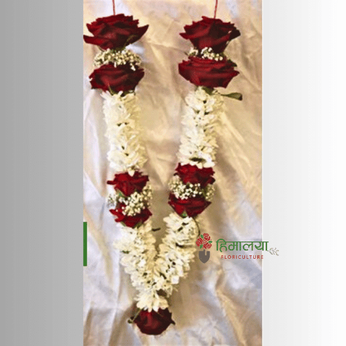 Red Rose & Godawari Garland Design 024