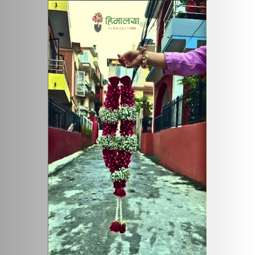 Rose & Rose Petals Garland Design 032