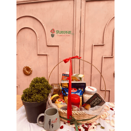 A Thoughtful Mother's Day Gift Combo – Table Kamini Plant & More