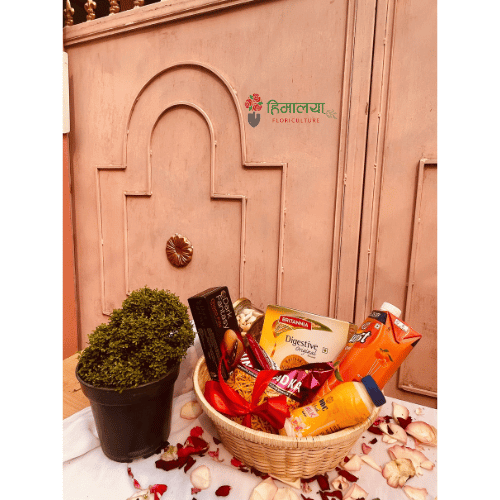 A Thoughtful Mother's Day Gift Combo – Plant & More